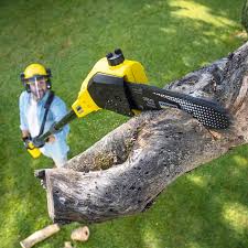 Best Soil Testing and Treatment  in Oroville, CA